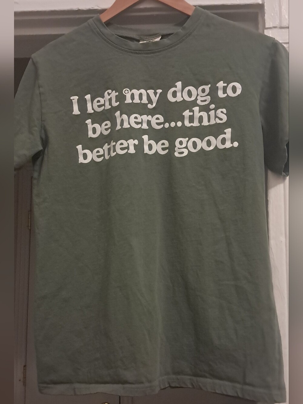 Comfort Colors Green "I Left My Dog To Be Here...This Better Be Good" Tshirt